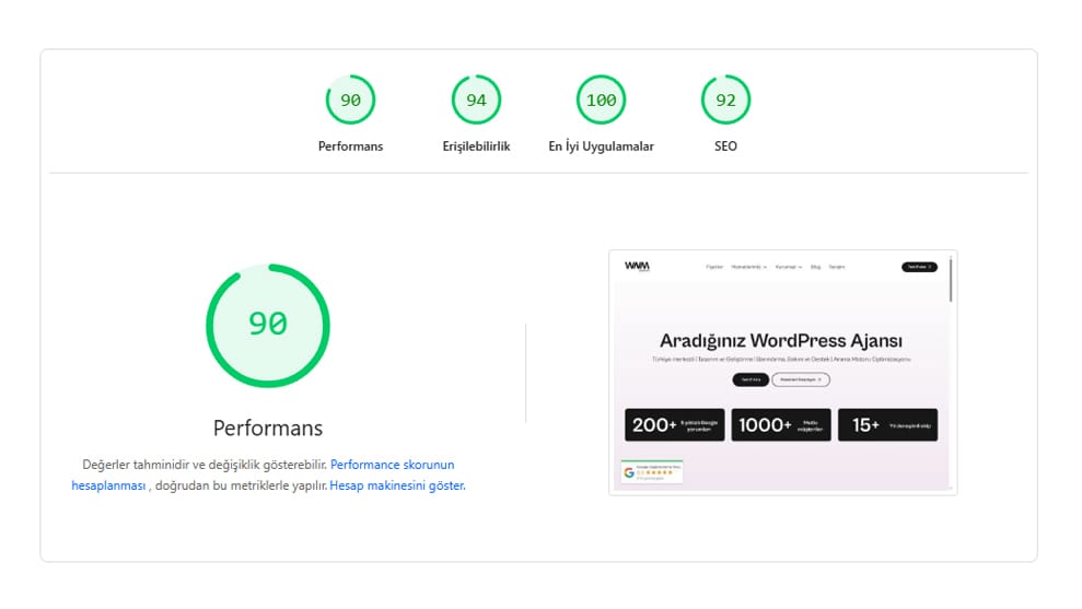 wp performans